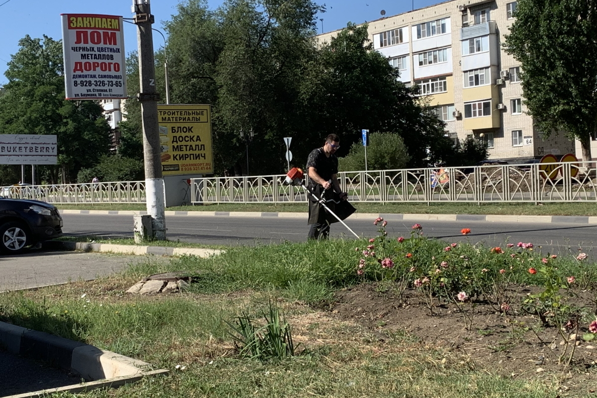 2023.07.24 покос 1.jpg