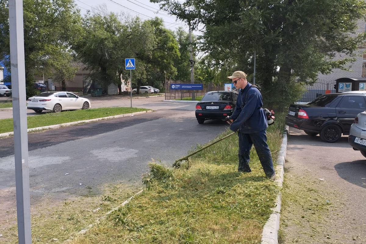 2025.06.06 эко-день 3.jpg