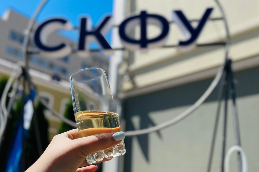uchenye-skfu-dobavyat-ivan-chaj-v-napitok-yuzhnyj-slon-cfu.ru-01